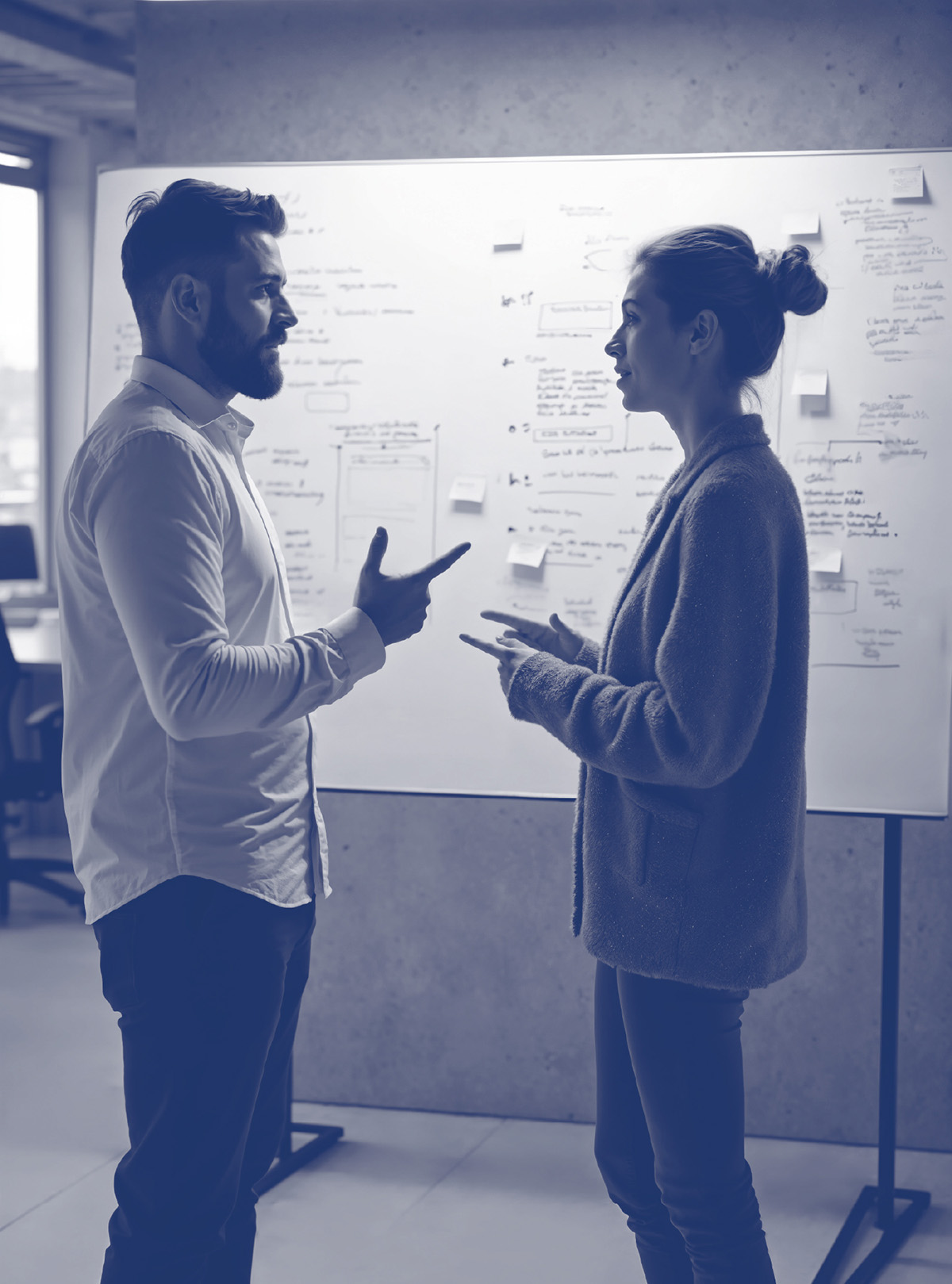 PMO Business Practitioner